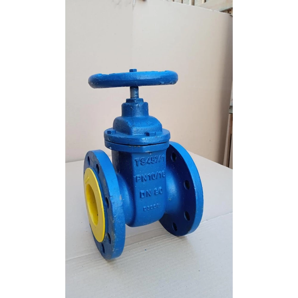 DSV-16 Засувка Фланцева Чавунна DU 100